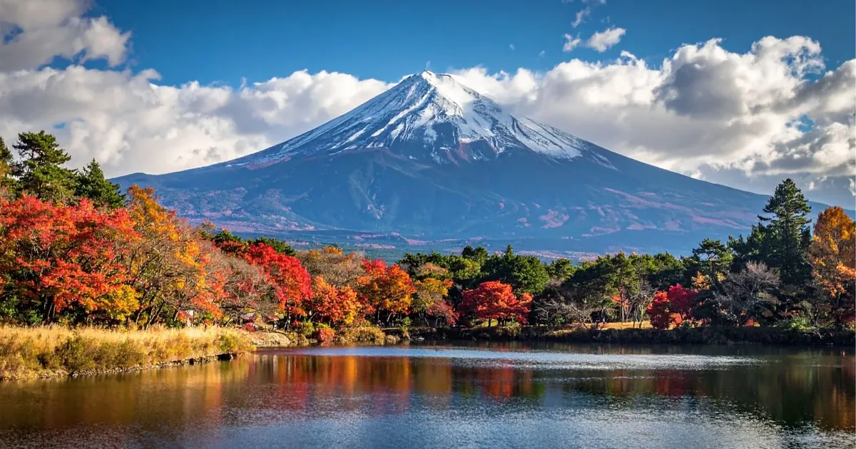 Mount Fuji reflected in a Fuji Five Lakes shoreline framed by scarlet autumn maples