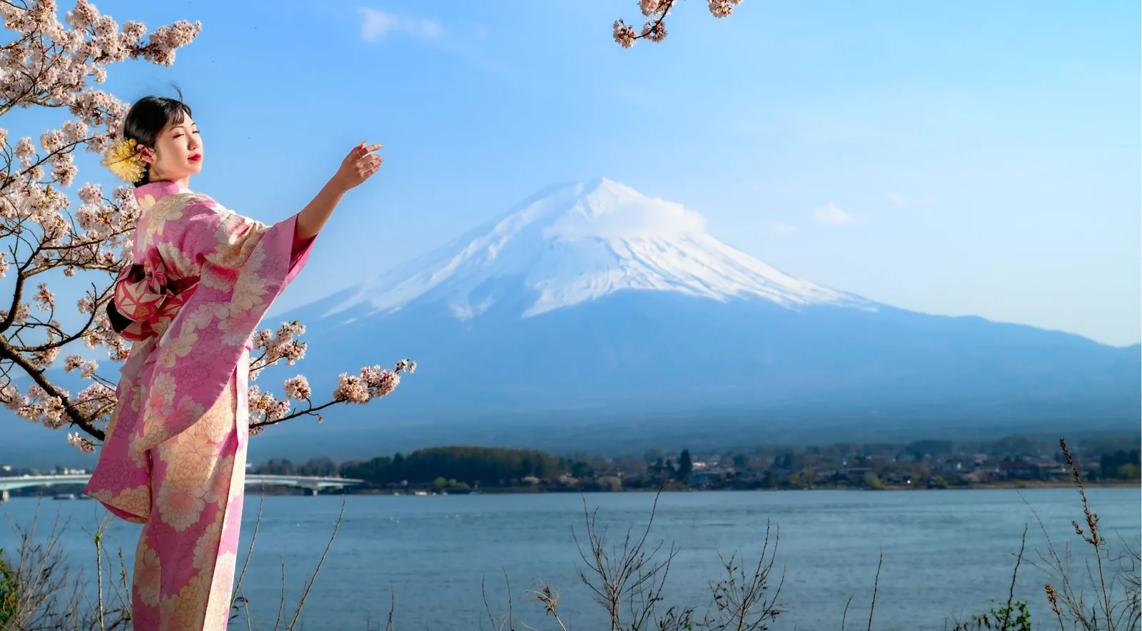 A woman in a pink floral kimono beneath cherry blossom on the Lake Kawaguchiko shore