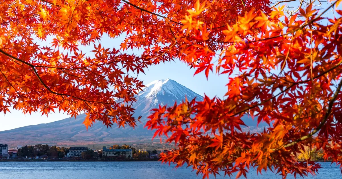 Snow-capped Mount Fuji seen through scarlet maple leaves across Lake Kawaguchiko, with lakeside hotels on the far shore