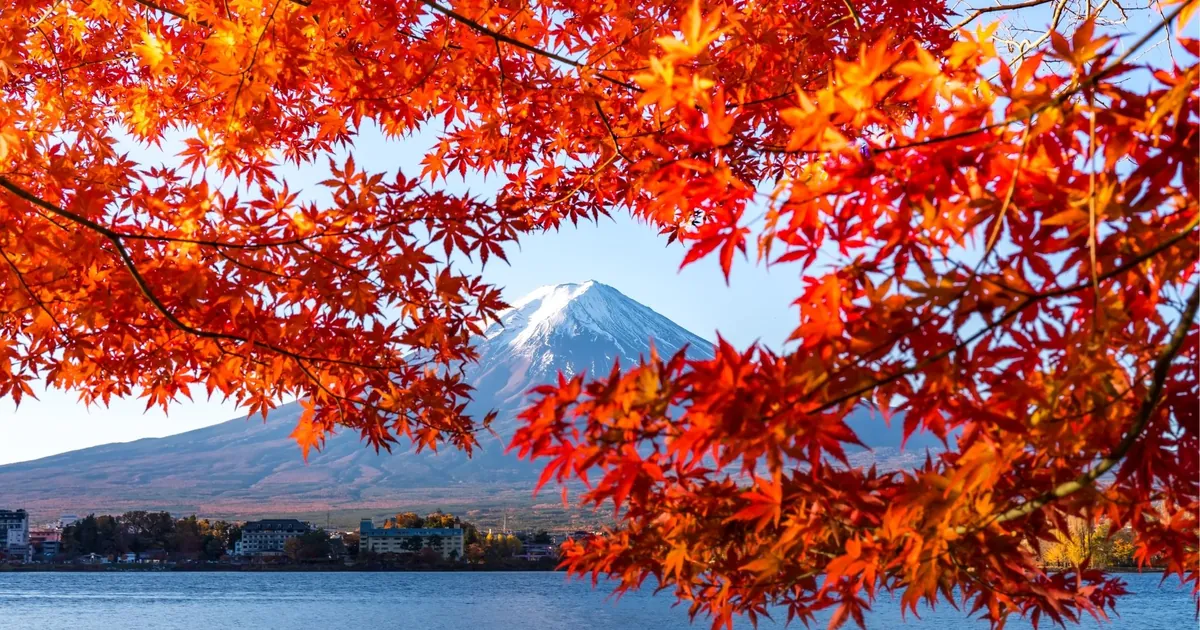 Red maple leaves framing snow-capped Mount Fuji across Lake Kawaguchi on a clear autumn day