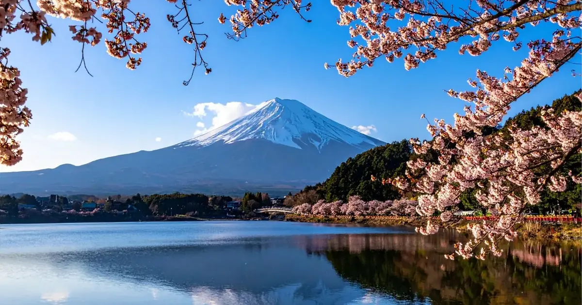 Mount Fuji across Lake Kawaguchiko in blossom season — where every route from Tokyo ends up